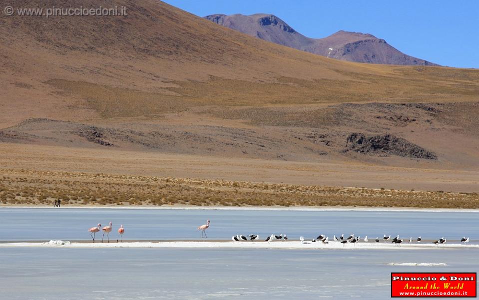 BOLIVIA 2 - Ruta de Las Joyas - Laguna Kanapa - 28.jpg